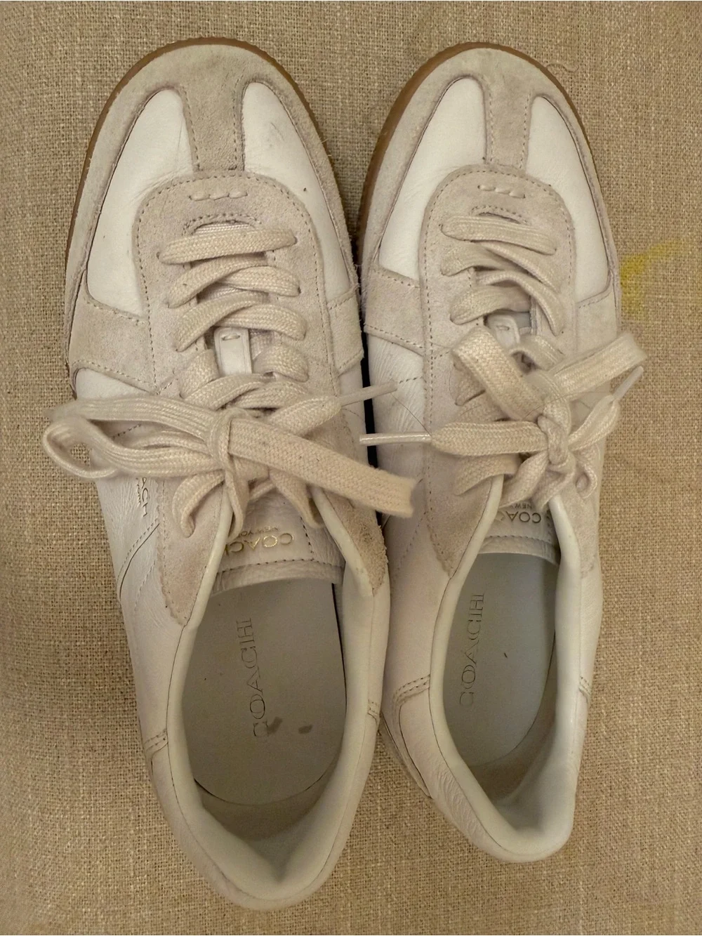 Coach low top